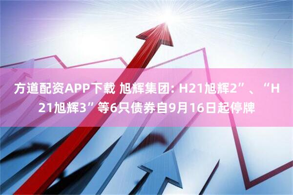 方道配资APP下载 旭辉集团: H21旭辉2”、“H21旭辉3”等6只债券自9月16日起停牌