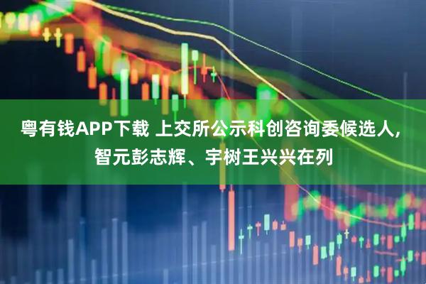 粤有钱APP下载 上交所公示科创咨询委候选人, 智元彭志辉、宇树王兴兴在列
